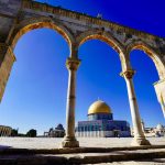 আনুগত্যের তাৎপর্য